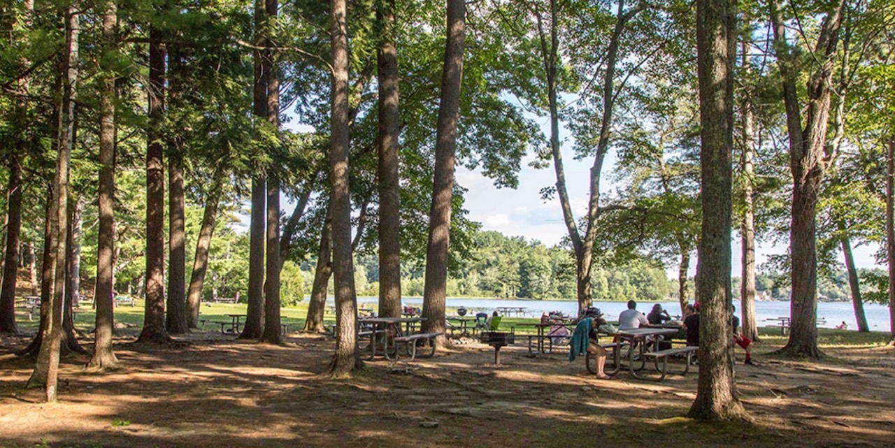 Kingston State Park in Kingston NH