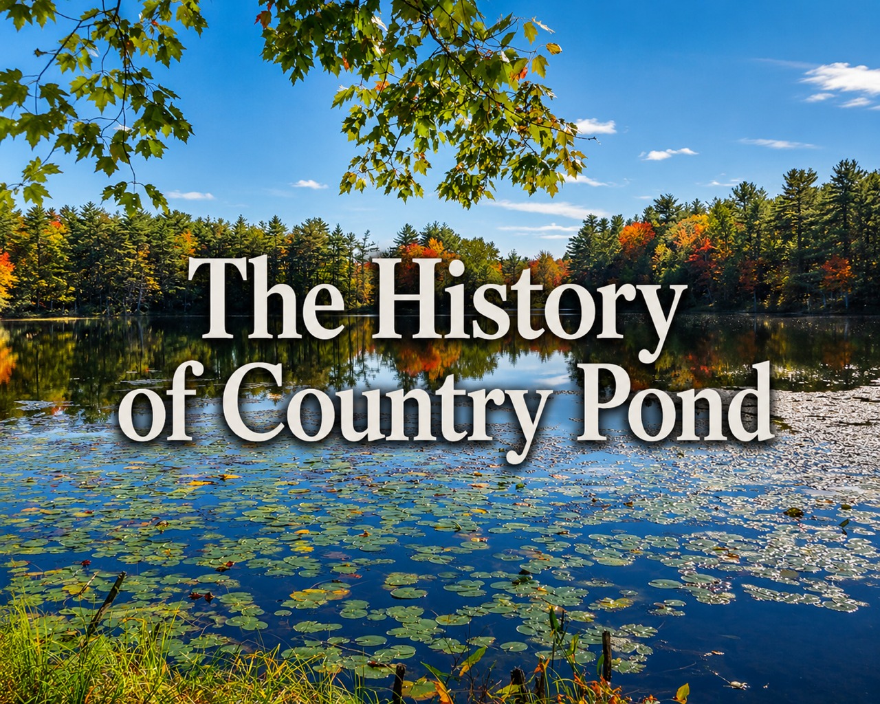 Country Pond’s rich history