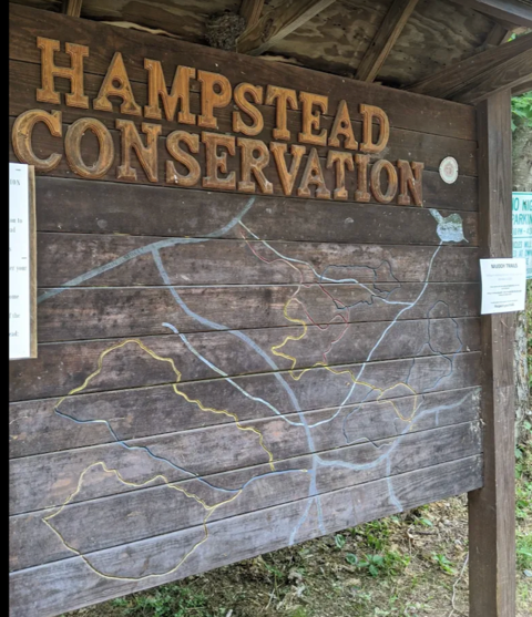 Hampstead rec